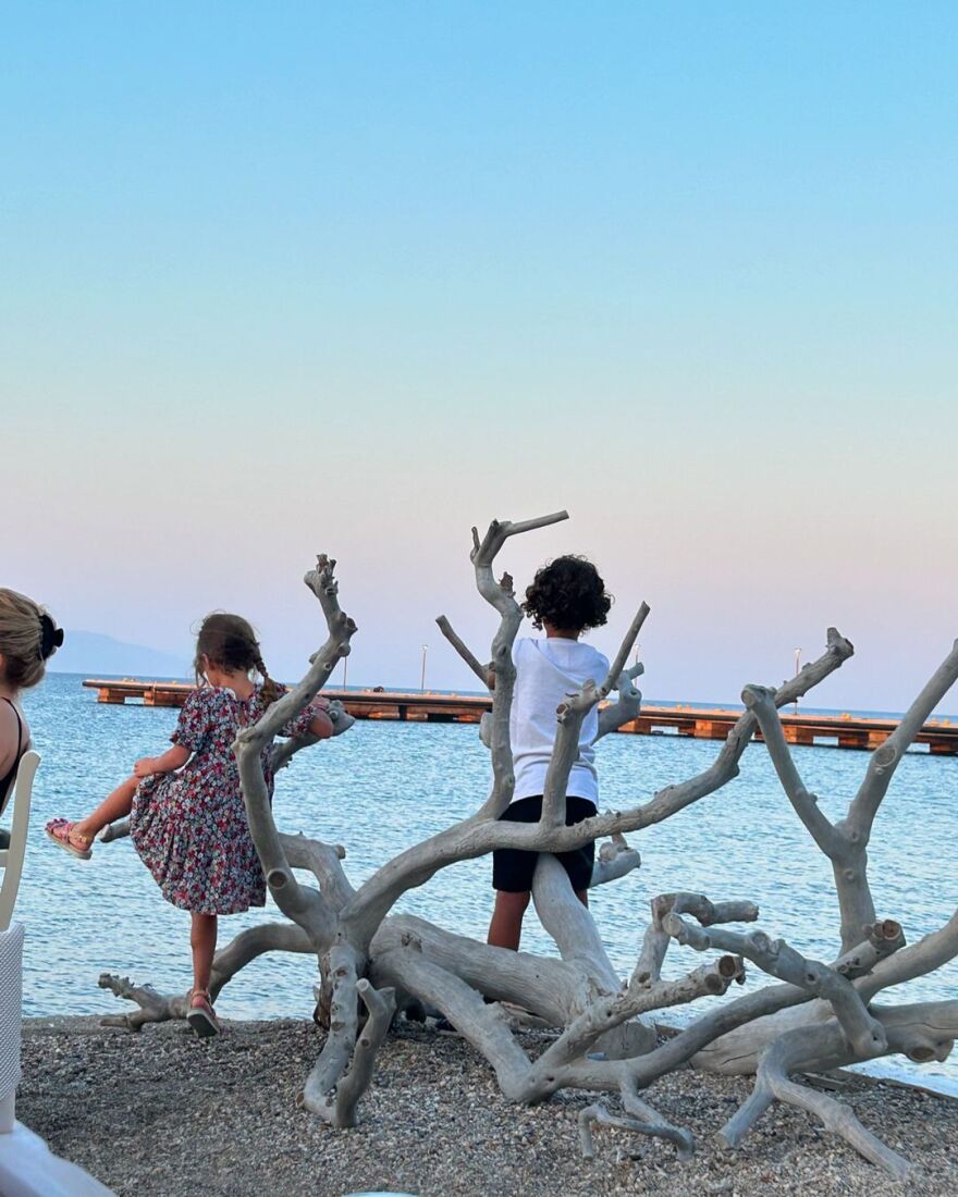 Ηρώ Σαΐα: Πέρασαν κιόλας 8 χρόνια, έγραψε για τα γενέθλια των παιδιών της με τον Σταύρο Ξαρχάκο