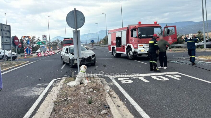 Λαμία: Νεκρός 54χρονος σε τροχαίο - Το σκυλάκι του διασώθηκε και περίμενε τον ιδιοκτήτη του δίπλα στο τρακάρισμα
