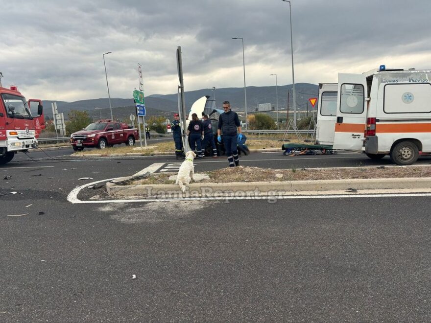 Λαμία: Νεκρός 54χρονος σε τροχαίο - Το σκυλάκι του διασώθηκε και περίμενε τον ιδιοκτήτη του δίπλα στο τρακάρισμα