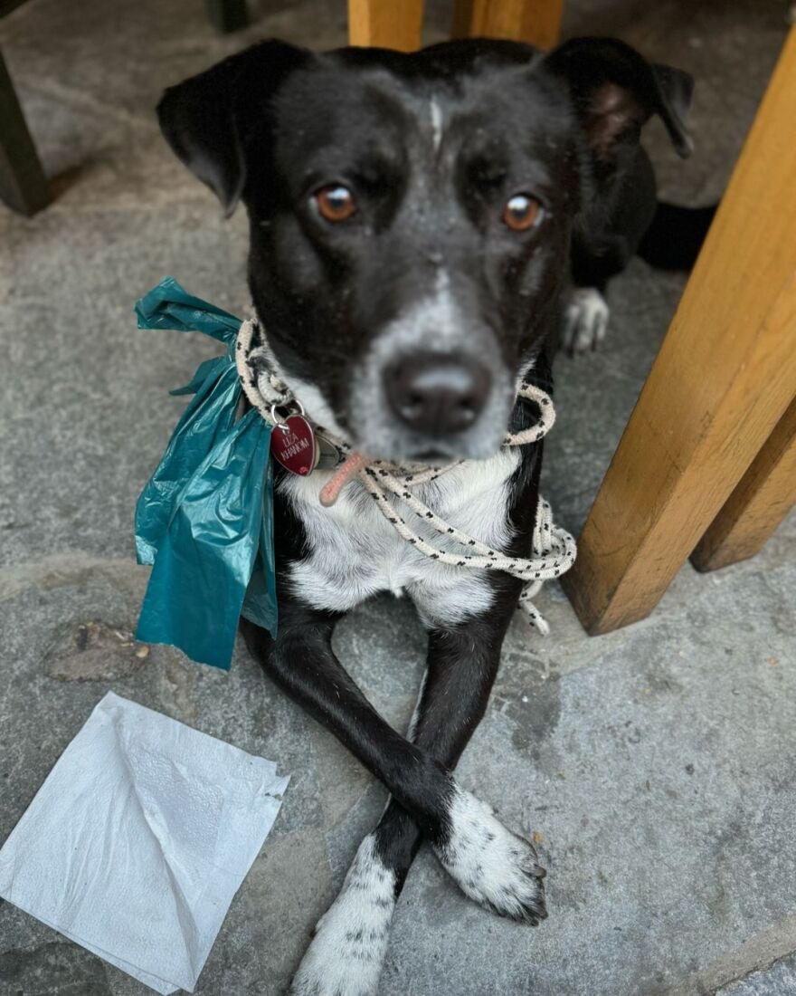 Δανάη Μπάρκα για Ματούλα Ζαμάνη: Είναι ο εαυτός της με όποιο κόστος και αυτό την κάνει μοναδική