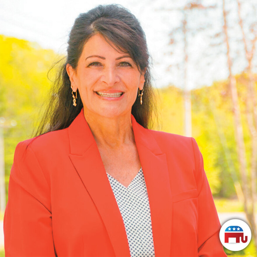 Αμερικανικές εκλογές 2024: 4+3 ομογενείς για το Κογκρέσο - Ποιοι είναι οι Ελληνοαμερικανοί υποψήφιοι