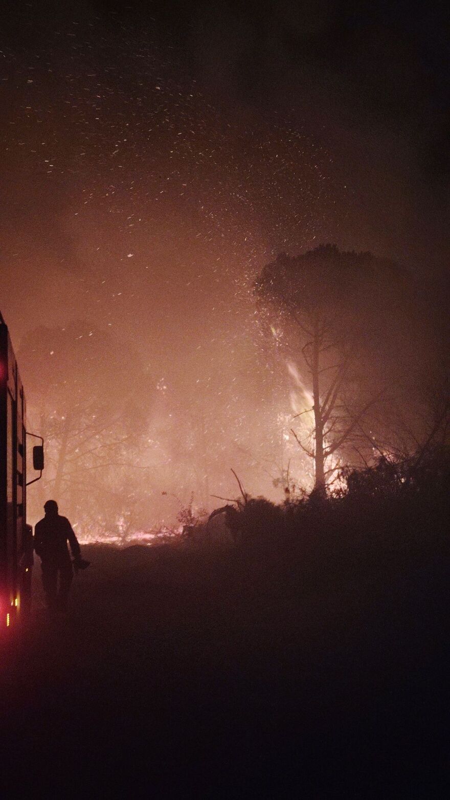 Φωτιά στο Βουπράσιο Αχαΐας: Μεγάλη κινητοποίηση της πυροσβεστικής, προσπάθειες να μην καεί το δάσος της Στροφυλιάς