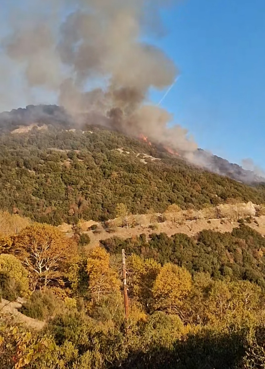 Φωτιά στην Παλαιά Καβάλα: Καίγεται χορτολιβαδική έκταση - Φωτογραφίες