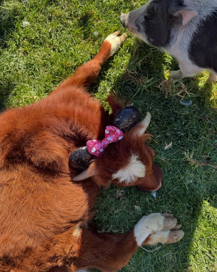 Κόρτνεϊ Καρντάσιαν - Τράβις Μπάρκερ: Γιόρτασαν τα πρώτα γενέθλια του γιου τους - Δείτε φωτογραφίες