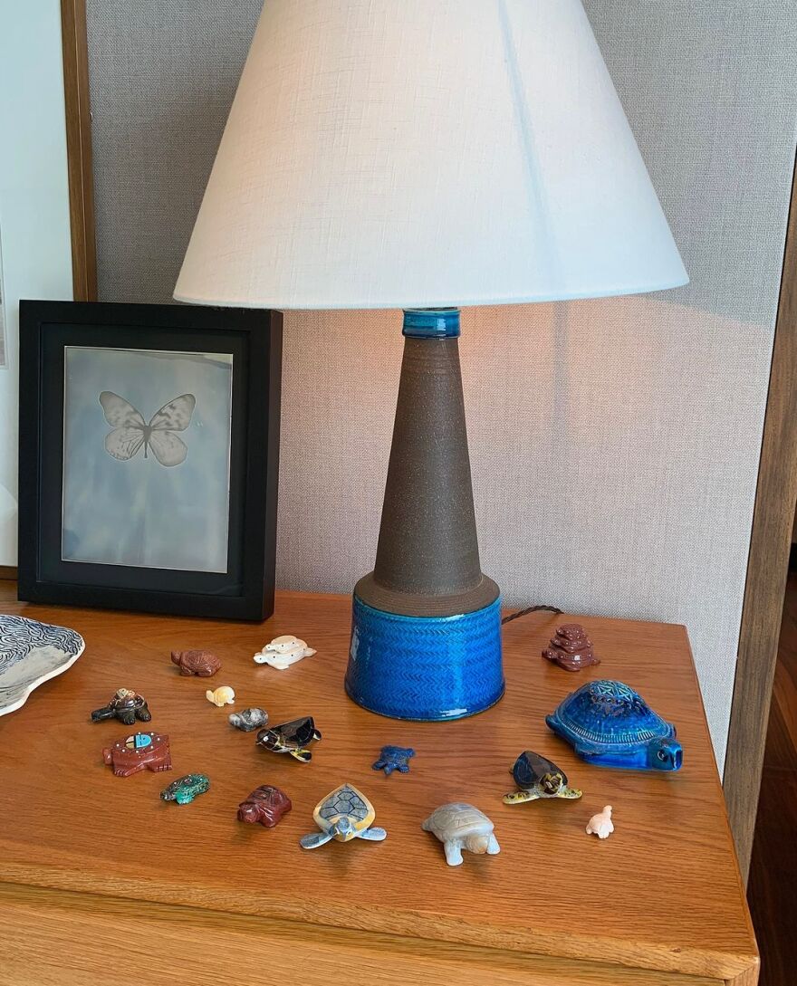 Κλόντια Σίφερ: Αποκάλυψε την αγάπη της για τις χελώνες