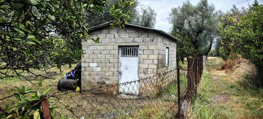 Αγρίνιο: Κρίση πανικού έπαθε στα κρατητήρια ο 30χρονος - Νέο βίντεο με τις κινήσεις του μετά τη δολοφονία της Δώρας