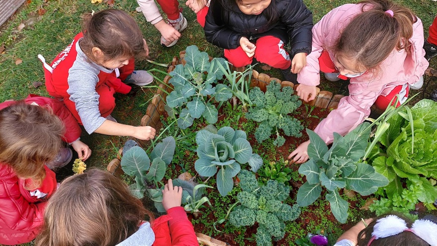 Πώς επιλέγουμε το κατάλληλο Δημοτικό σχολείο