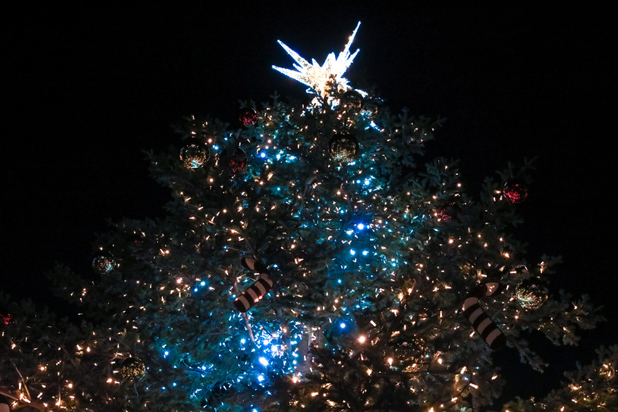 Φωταγωγήθηκε το χριστουγεννιάτικο δέντρο στο Σύνταγμα - Δείτε φωτογραφίες