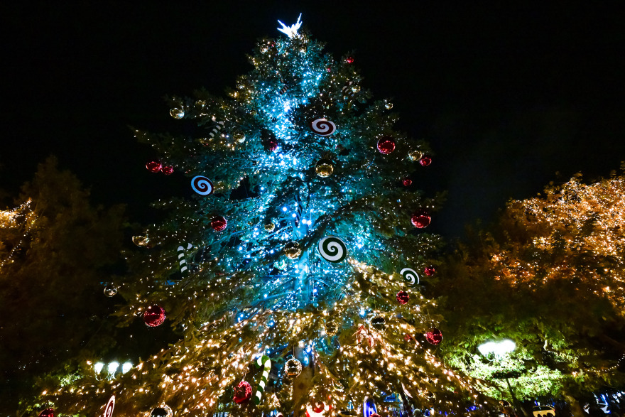 Φωταγωγήθηκε το χριστουγεννιάτικο δέντρο στο Σύνταγμα - Δείτε φωτογραφίες