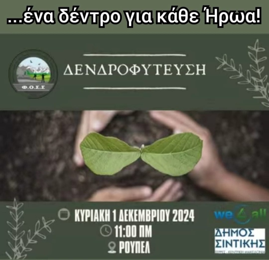 Κυπαρίσσια στη μνήμη των νεκρών του Ρούπελ θα φυτευτούν κατά μήκος του δρόμου που οδηγεί στα οχυρά