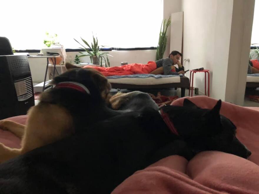 Ίγκεμποργκ Μπέουχελ: «Λατρεύω τους Έλληνες, όλοι ξέρουμε τα παιχνίδια της Τουρκίας» λέει η Ολλανδή δημοσιογράφος μετά τον σάλο