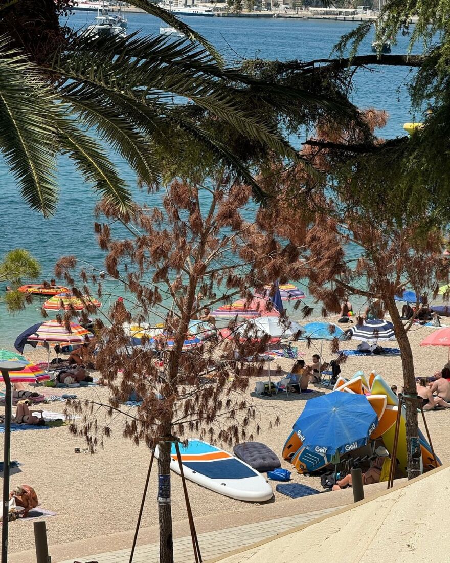 Κωνσταντίνος Βασάλος: Ταξίδεψε στην Αλβανία για 24 ώρες - Δείτε φωτογραφίες