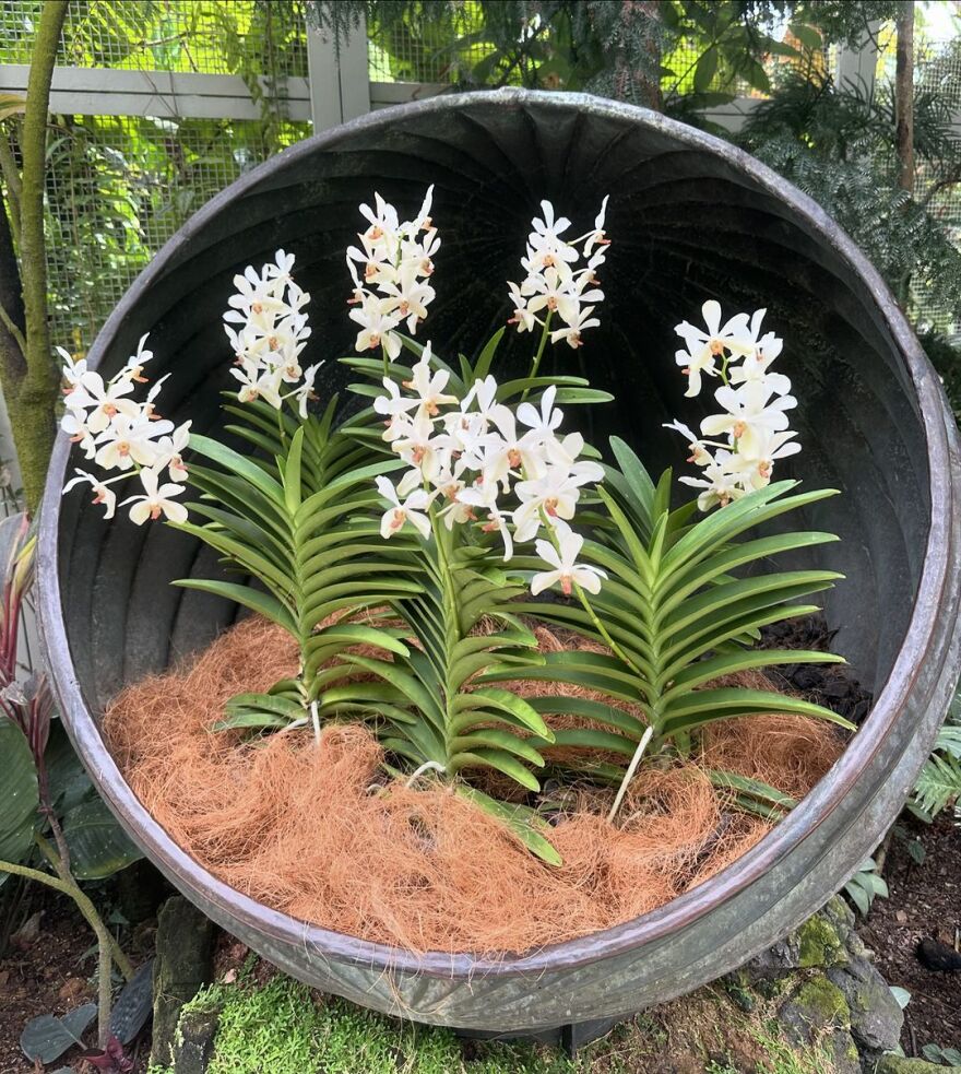 Σταματίνα Τσιμτσιλή: Ταξίδεψε στη Σιγκαπούρη με την οικογένειά της