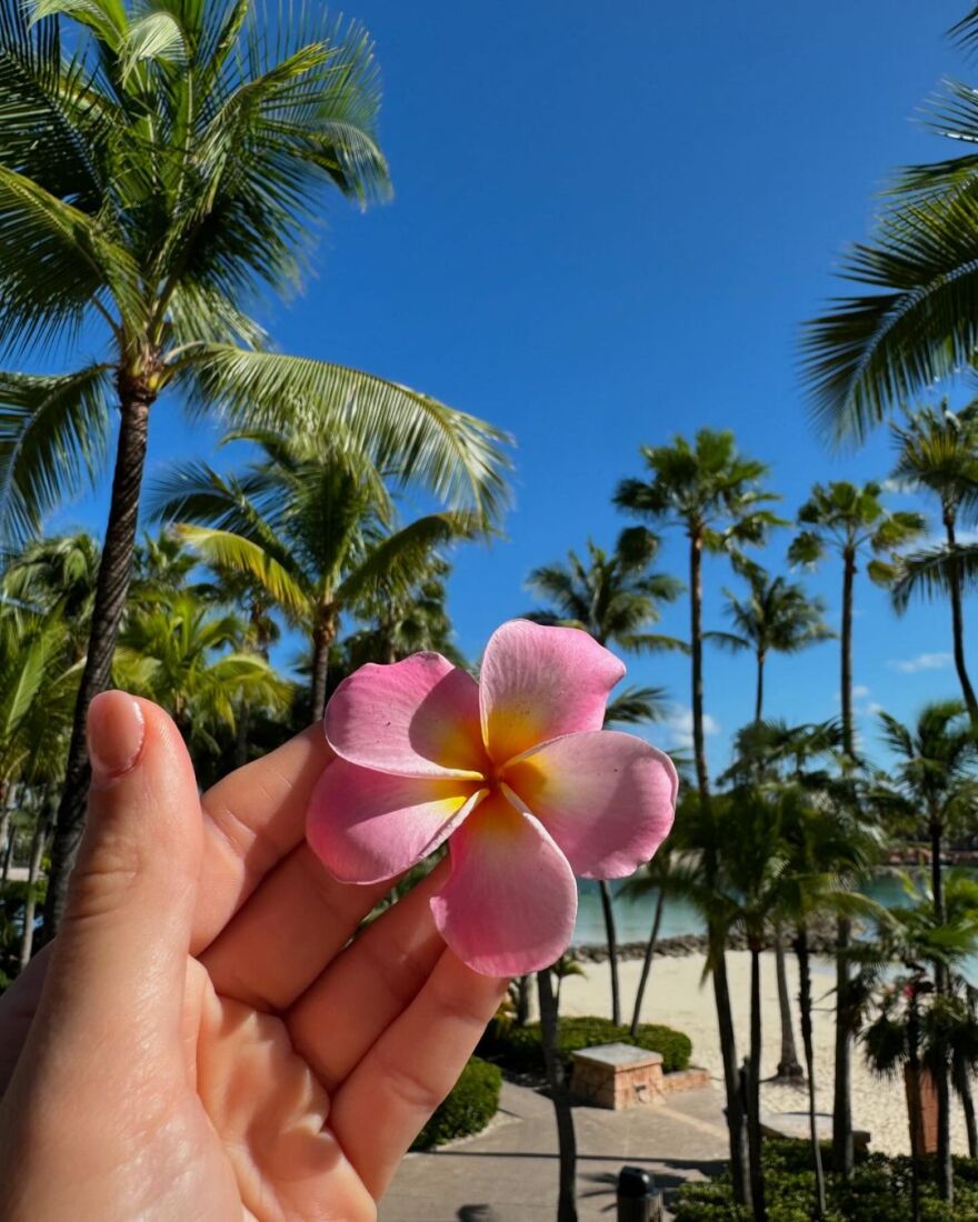 Τούνη και Αλεξάνδρου ποζάρουν στις Μπαχάμες με... σκόρδα στον λαιμό 