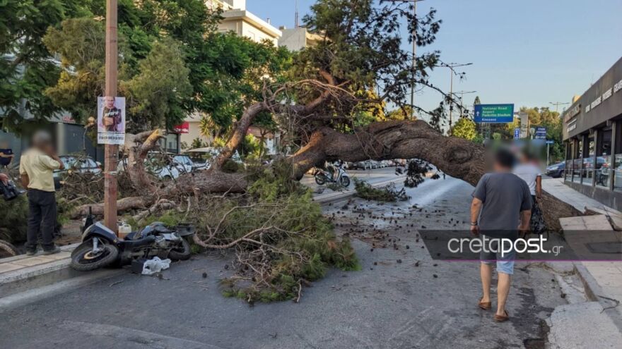 Κρήτη: «Θα κινηθούμε νομικά» λέει ο γιος του 50χρονου που καταπλακώθηκε από δέντρο
