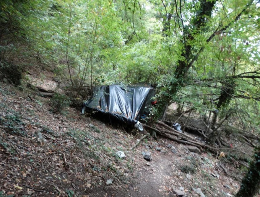 Ελλασόνα: Σεσημασμένος Αλβανός ταυτοποιήθηκε για τη μεγάλη χασισοφυτεία