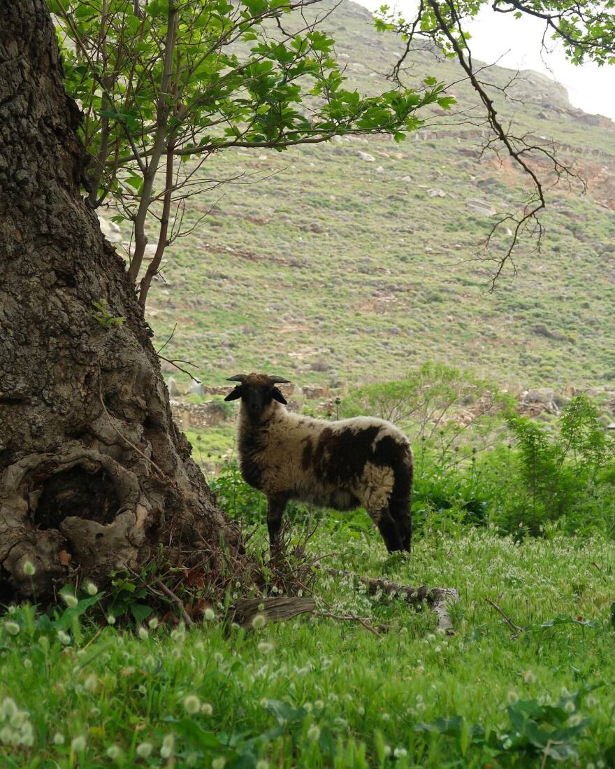 Άγγελος Λάτσιος: Ξεκίνησε τα μπάνια του στη θάλασσα - Δείτε τις φωτογραφίες