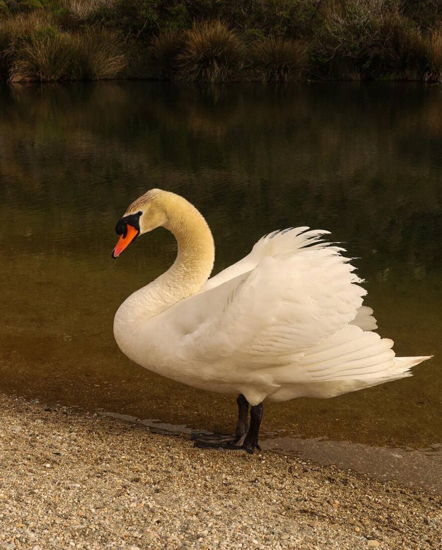 Άγγελος Λάτσιος: Ξεκίνησε τα μπάνια του στη θάλασσα - Δείτε τις φωτογραφίες