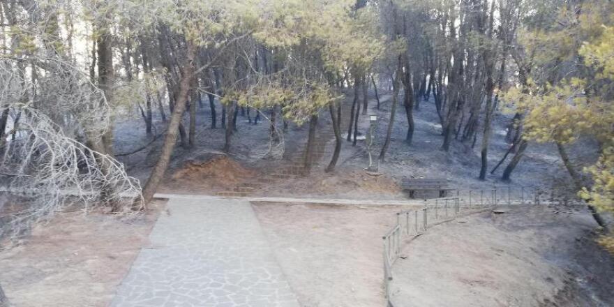 Υπουργείο Πολιτισμού: Διαψεύδει τις φήμες για φθορές στις αρχαιότητες του μυκηναϊκού νεκροταφείου στις Πόρτες Αχαϊας