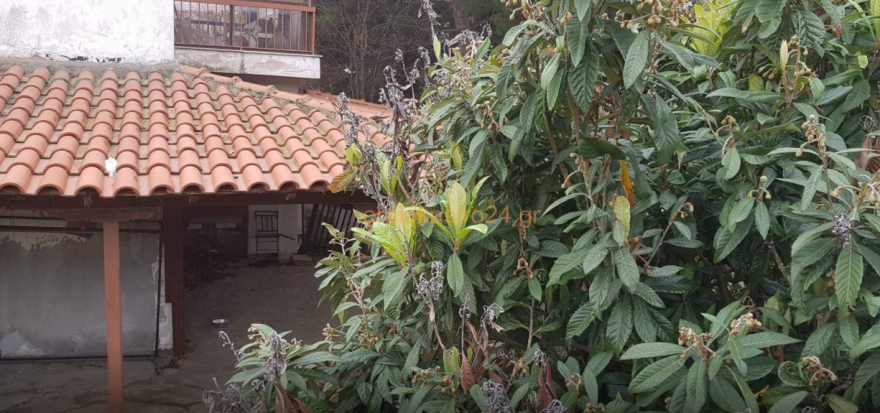 Όμηροι 8 μήνες στο Ωραιόκαστρο: Νέες φωτογραφίες από το σπίτι κολαστήριο 