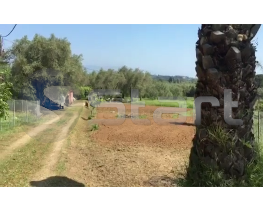 Ματωμένα βαφτίσια στην Κέρκυρα - Νεκρή μία 56χρονη από μπαλωθιές