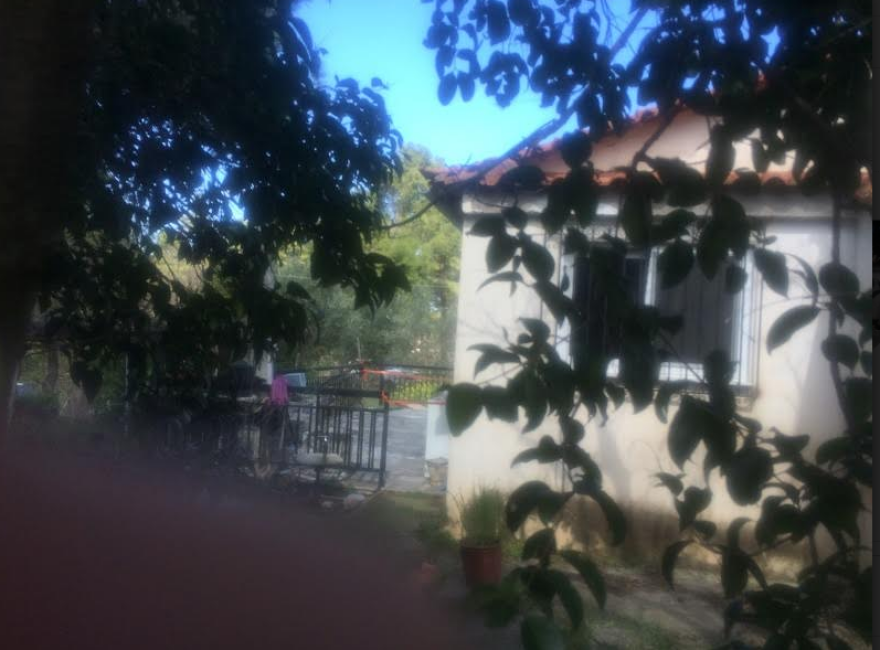 Ο 52χρονος δολοφόνος της Σταμάτας σπάει τη σιωπή του: Έτσι σκότωσα με 25 μαχαιριές την σύζυγό μου