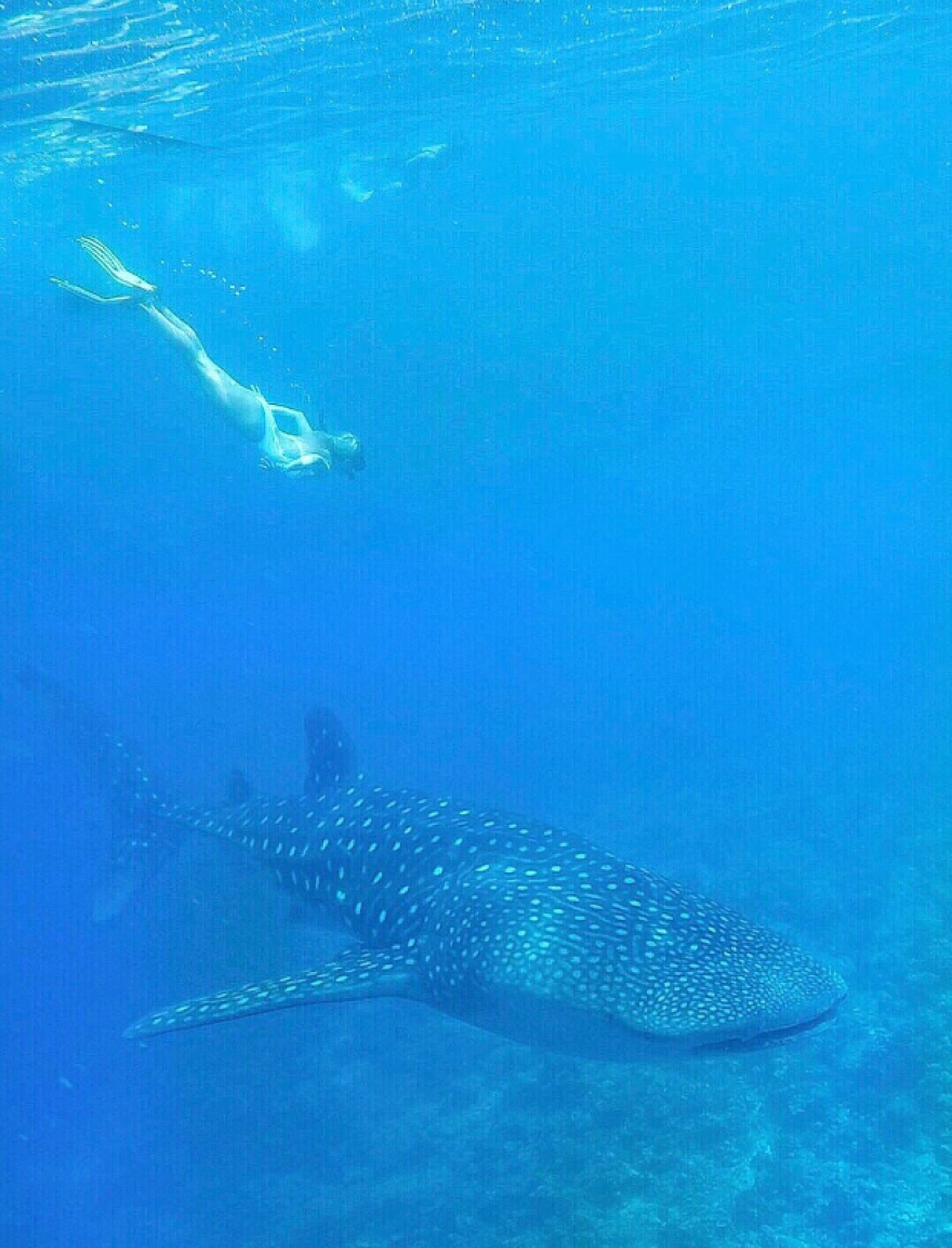 Οι πιο διάσημοι travel bloggers λατρεύουν Μύκονο και Σαντορίνη