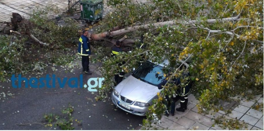 Αγριεύει ο «Ξενοφών»: Ισχυροί άνεμοι στη Θεσσαλονίκη - Ξεριζώθηκαν δέντρα, ζημιές σε ΙΧ  