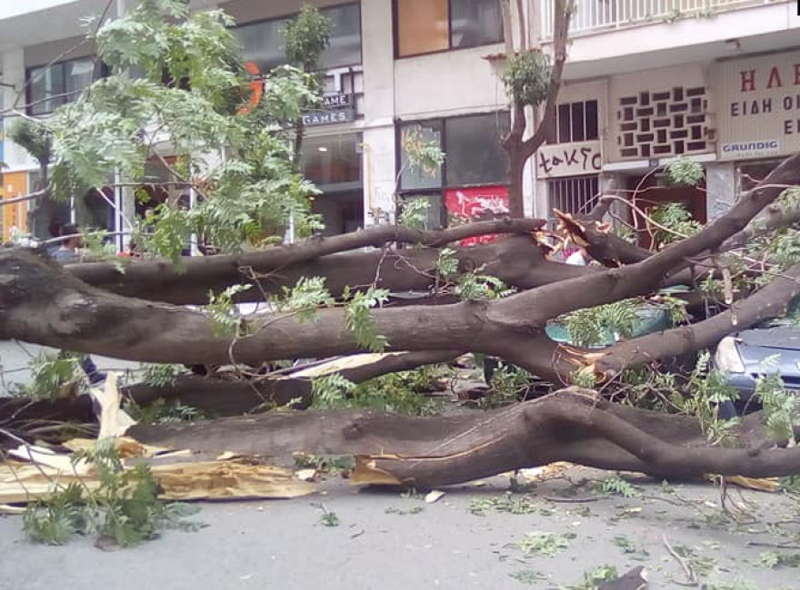 Αγριεύει ο «Ξενοφών»: Ισχυροί άνεμοι στη Θεσσαλονίκη - Ξεριζώθηκαν δέντρα, ζημιές σε ΙΧ  