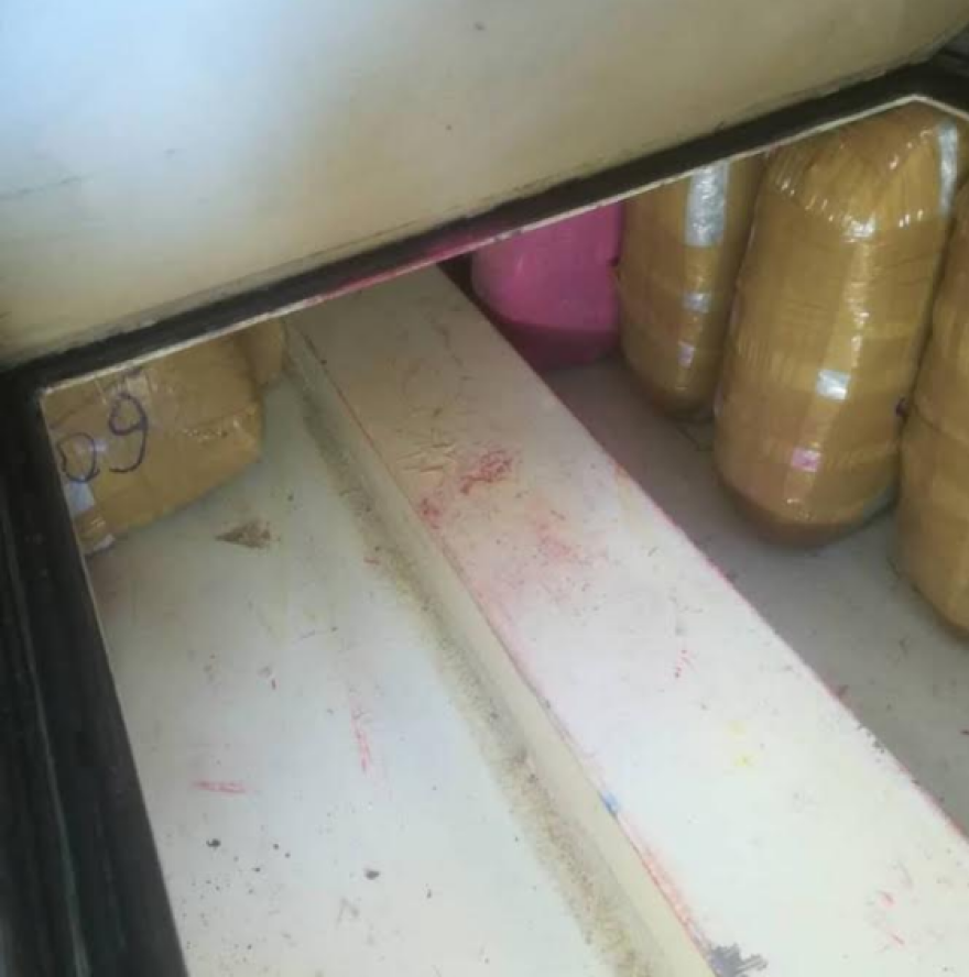 Θεσπρωτία: Η κρύπτη με το χασίς εντοπίστηκε από τον σκύλο