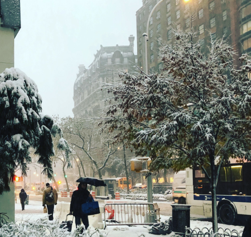 Εντυπωσιακές εικόνες: Ξαφνική χιονοθύελλα «έντυσε» στα λευκά τη Νέα Υόρκη