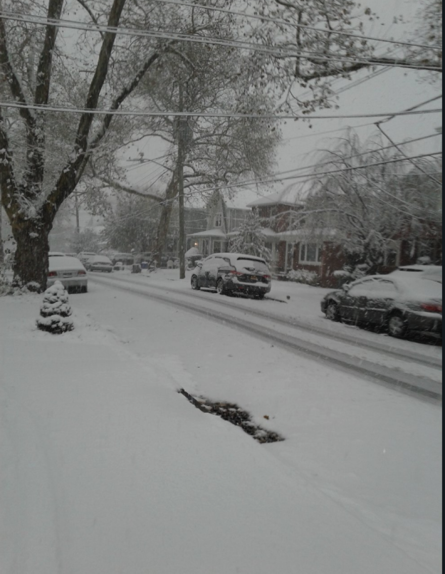 Εντυπωσιακές εικόνες: Ξαφνική χιονοθύελλα «έντυσε» στα λευκά τη Νέα Υόρκη