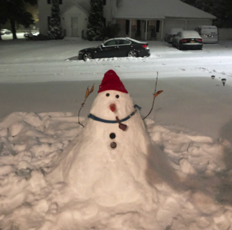 Εντυπωσιακές εικόνες: Ξαφνική χιονοθύελλα «έντυσε» στα λευκά τη Νέα Υόρκη