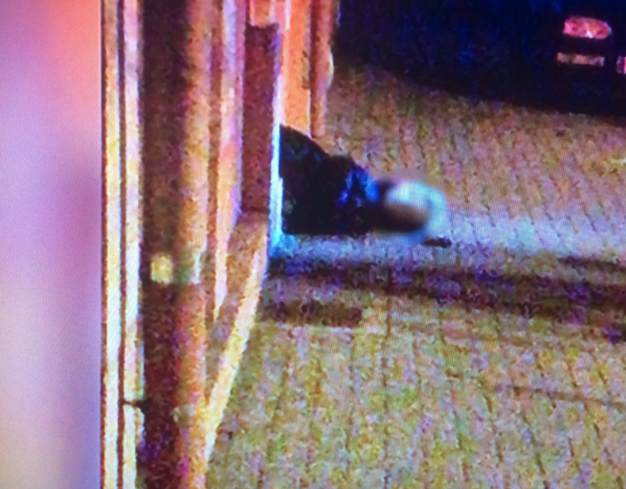 Νεκρός ο δράστης της επίθεσης στο Στρασβούργο