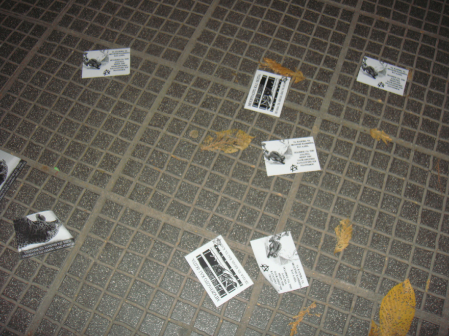 Θεσσαλονίκη: Αναρχικοί βανδάλισαν pet-shops με αφορμή τη θανάτωση τζάγκουαρ στο Αττικό Ζωολογικό Πάρκο