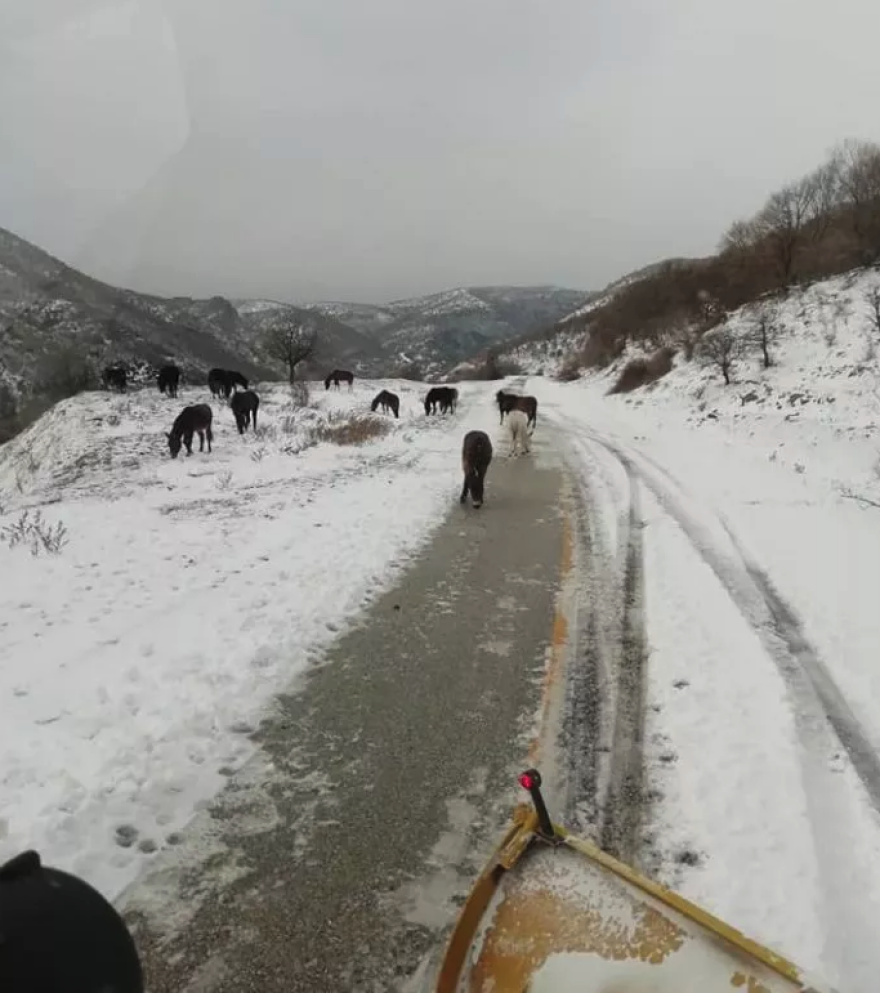 Καιρός: Σοβαρά προβλήματα από την επέλαση του χιονιά - Κλειστοί δρόμοι και διακοπές ρεύματος