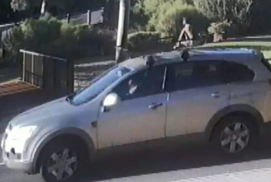 Αυστραλία: Τετράχρονος «χορεύει» στην ηλιοροφή, ενώ η μαμά του σπιντάρει σε λεωφόρο 