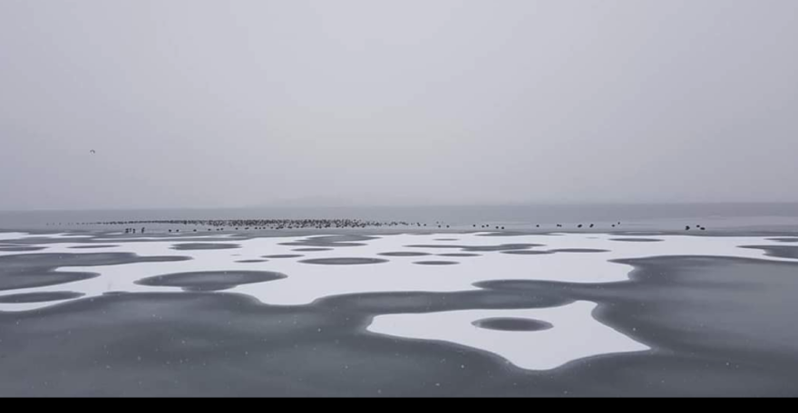 Φωτογραφίες: Πάγωσε η λίμνη της Καστοριάς 
