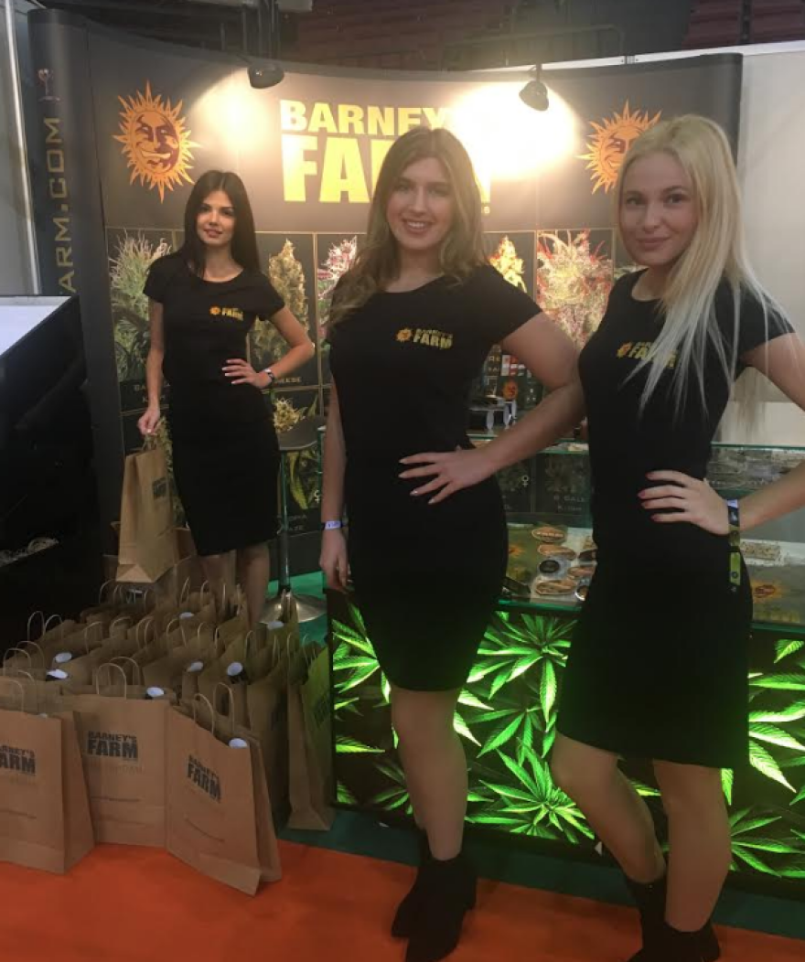Ξεκινάει η  2η «Athens Cannabis Expo»  - Τυριά, πίτσα, τσάι και ρούχα από κάνναβη 