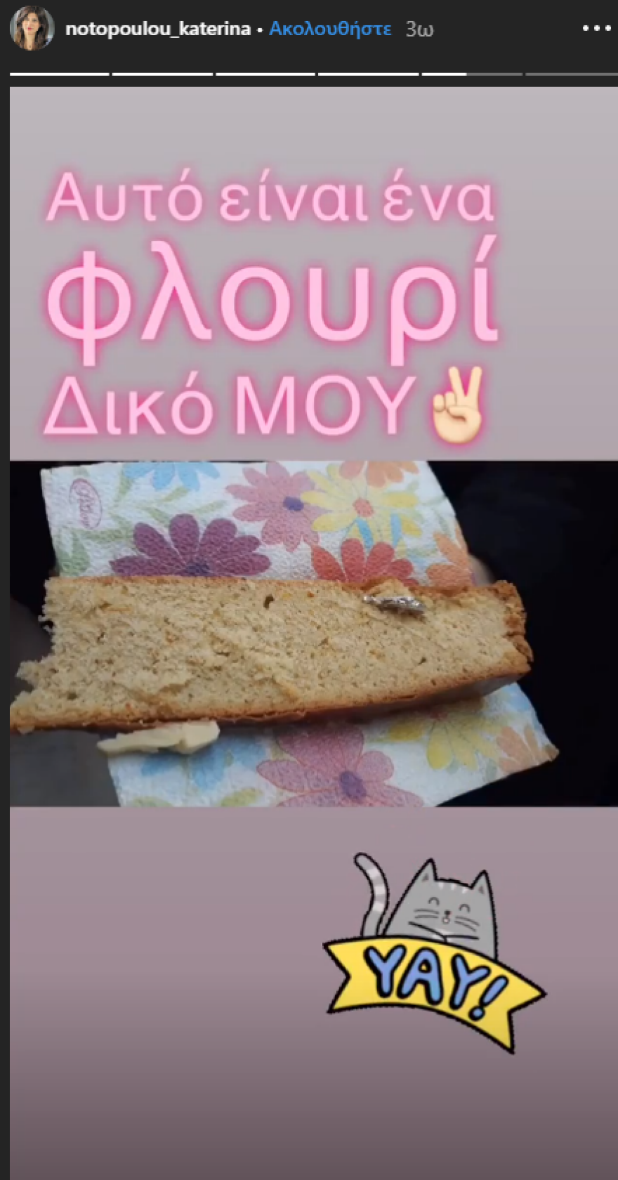 Νοτοπούλου στο Instagram: Πρώτα βρήκε τον... Βαλάντη και μετά το... φλουρί