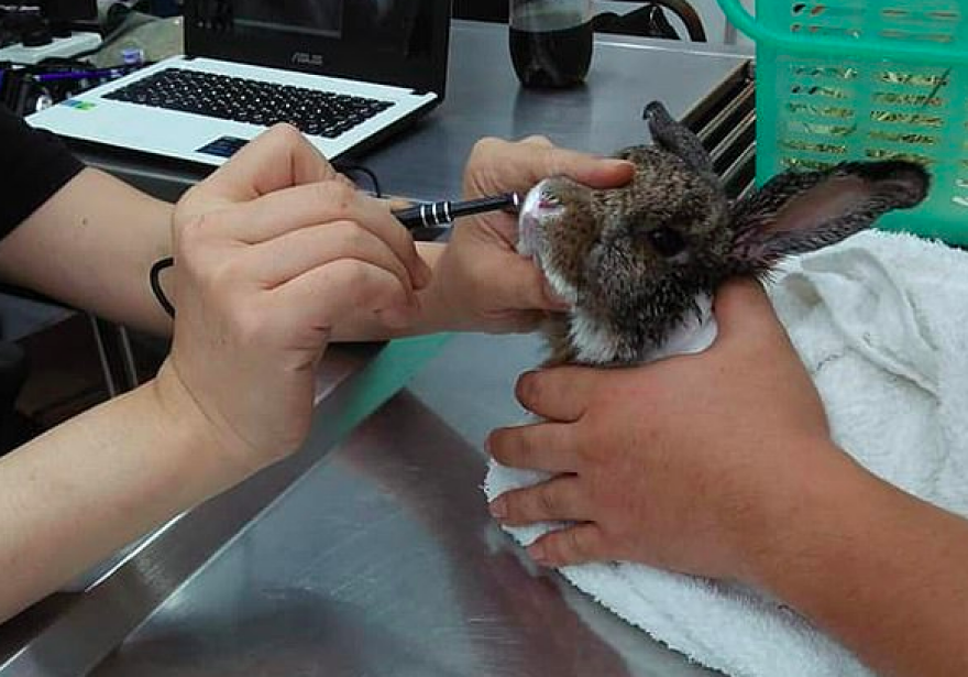 Βυθισμένη στο νέφος η Μπανγκόκ - Οι άνθρωποι βήχουν αίμα εξαιτίας της ρύπανσης