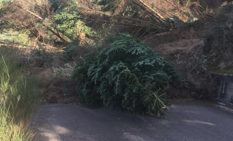 Φωτογραφίες: Μεγάλη κατολίσθηση στο Καλέντζι Αχαΐας