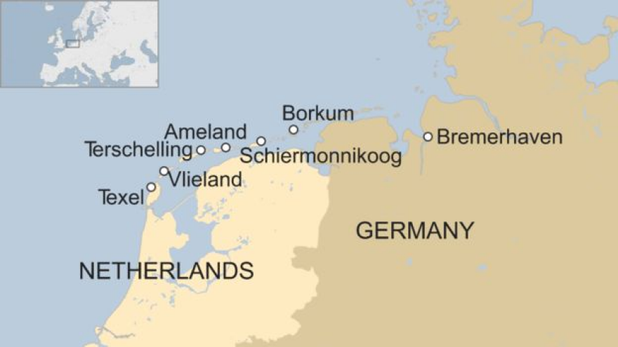 Μυστήριο με τον θάνατο 20.000 θαλασσοπουλιών στις ακτές της Ολλανδίας