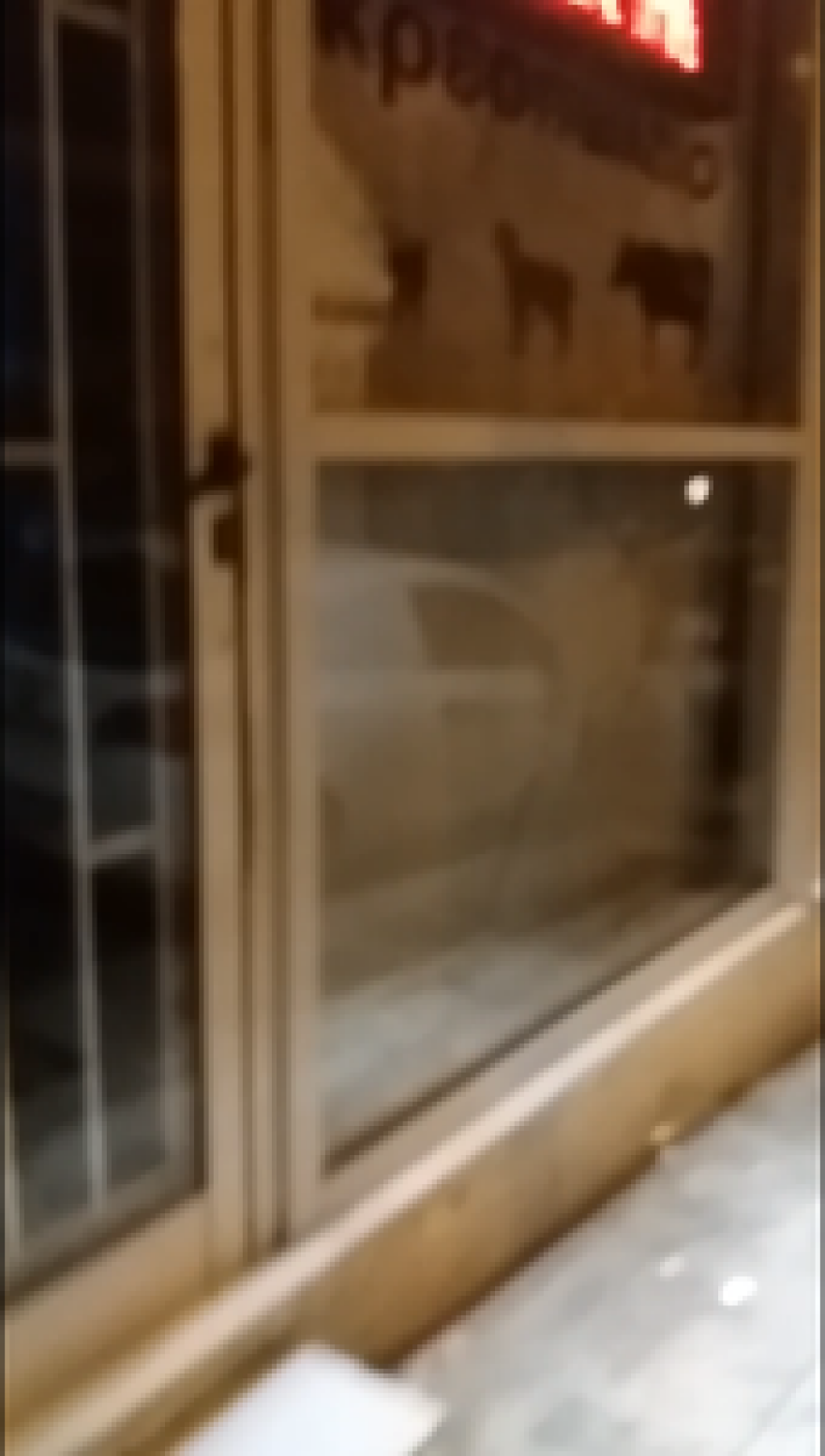 Τα «Πασχαλινα Σφυριά» έσπασαν βιτρίνα κρεοπωλείου στα Εξάρχεια