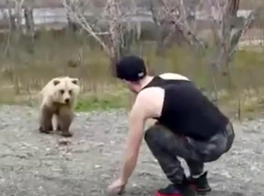 Έκανε μαγκιές στην αρκούδα αλλά λίγο αργότερα έγινε «λαγός»