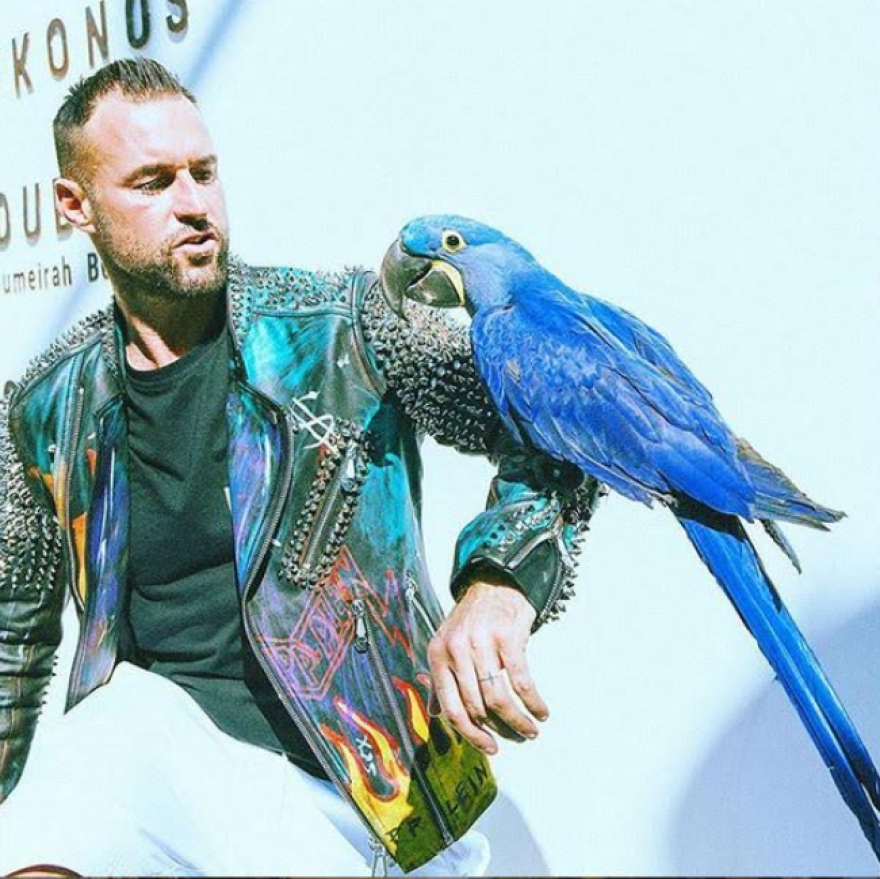 Μύκονος: Ο παπαγάλος των 30.000 ευρώ και άλλες ιστορίες τρέλας