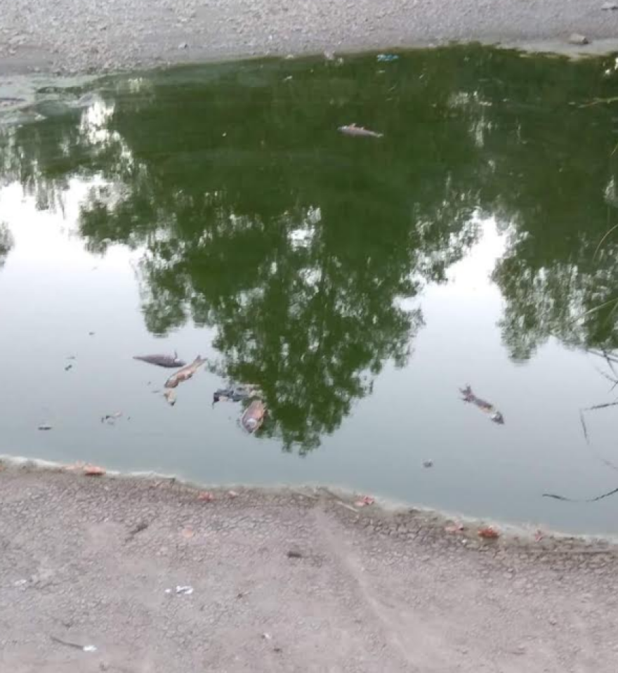 Δήμος Ιλίου: Προσφεύγει στον Εισαγγελέα Περιβάλλοντος για την κατάσταση στο Πάρκο Τρίτση 