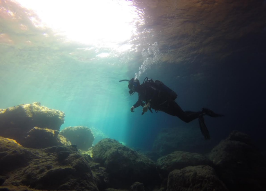 Λεοντόψαρο: Το δηλητηριώδες ψάρι στα ελληνικά νερά - Πού έχει εντοπιστεί μέχρι σήμερα