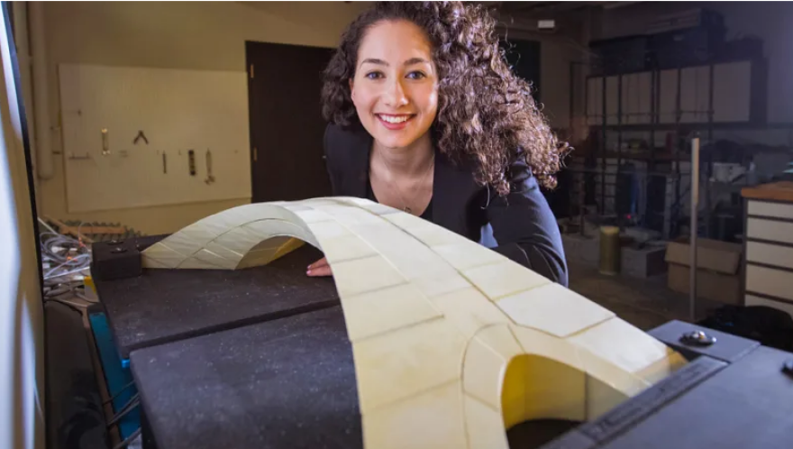 Λεονάρντο Ντα Βίντσι: Είχε σχεδιάσει γέφυρα για την Κωνσταντινούπολη - Τον απέρριψε ο Σουλτάνος