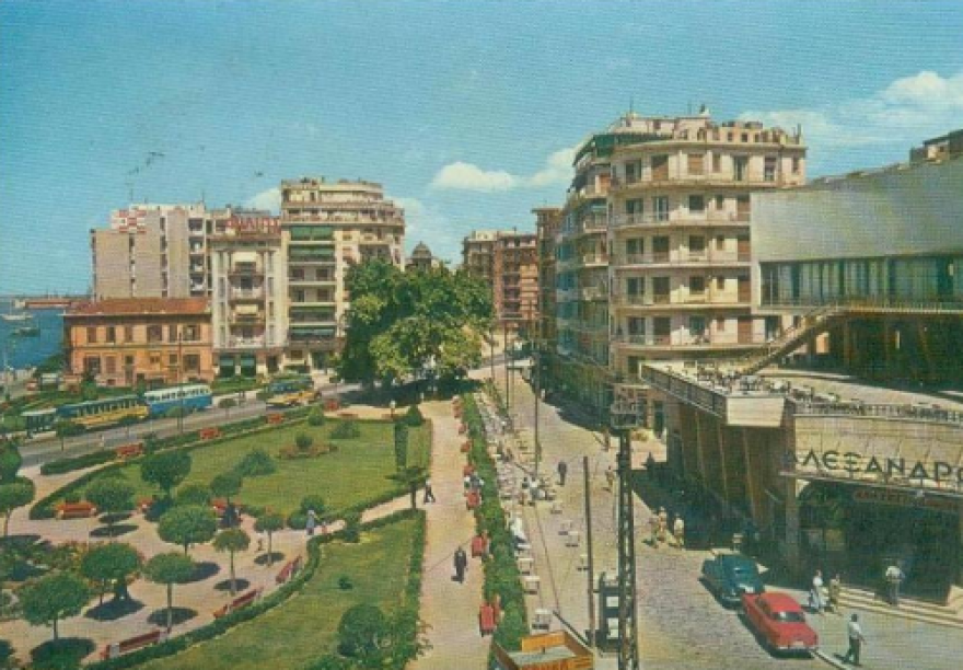 Θεσσαλονίκη: Τέσσερα υπεραιωνόβια πλατάνια θα ανακηρυχθούν διατηρητέα μνημεία